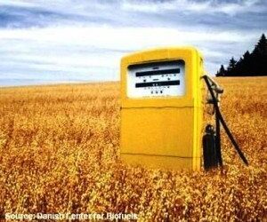 Ethanol free gas stations